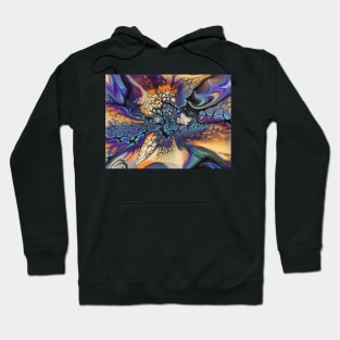 Psychedelia Hoodie